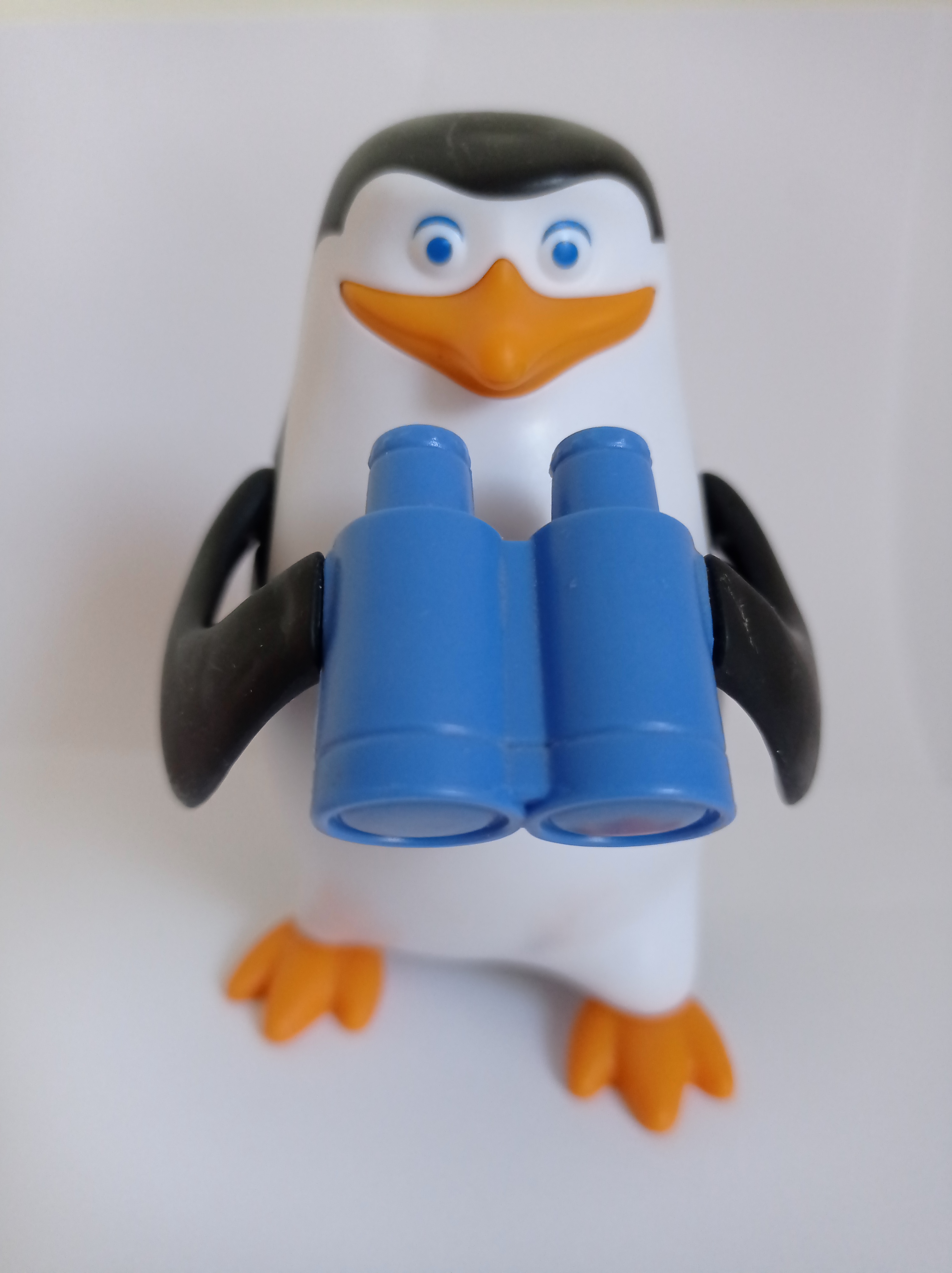 EL PINGÜINO SATURNINO